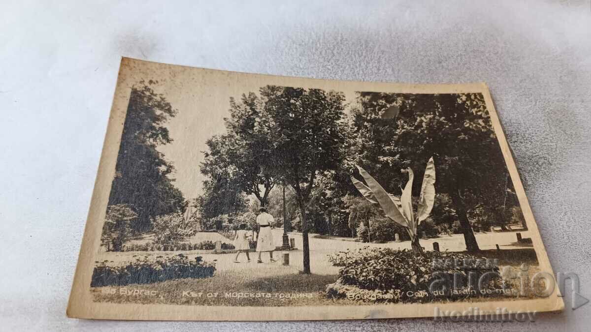 Postcard Burgas Corner of the Sea Garden 1951