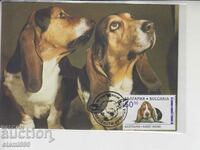 Postcard FDC DOGS