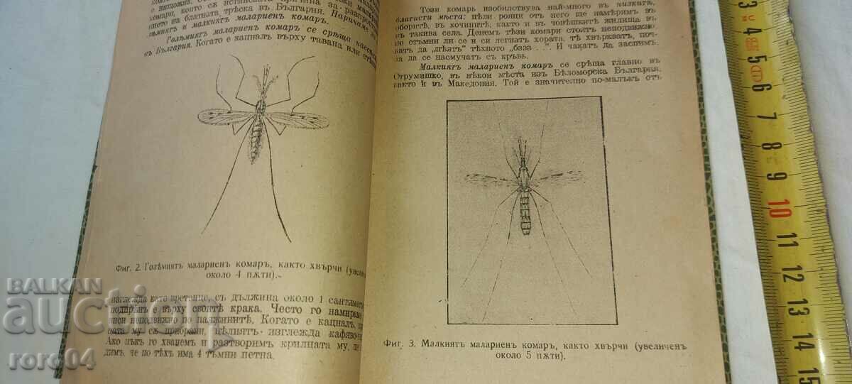 Δημοπρασία Η ελονοσία και ο ΑΓΩΝΑΣ ΜΑΖΙ ΤΗΣ