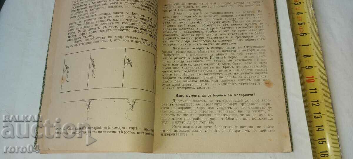 Παράδοση Η ελονοσία και ο ΑΓΩΝΑΣ ΜΑΖΙ ΤΗΣ