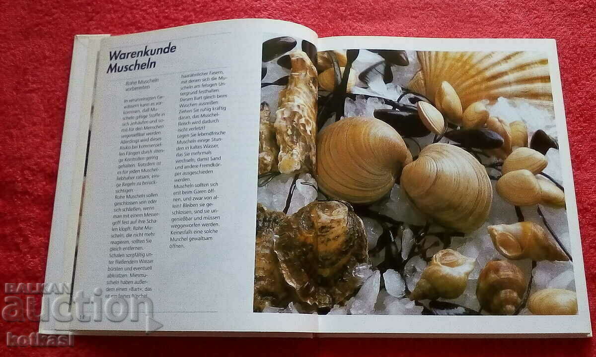 Cookbook Fish cuisine dishes recipes Germany - 6 Cookbook Fish cuisine dishes recipes Germany - 6