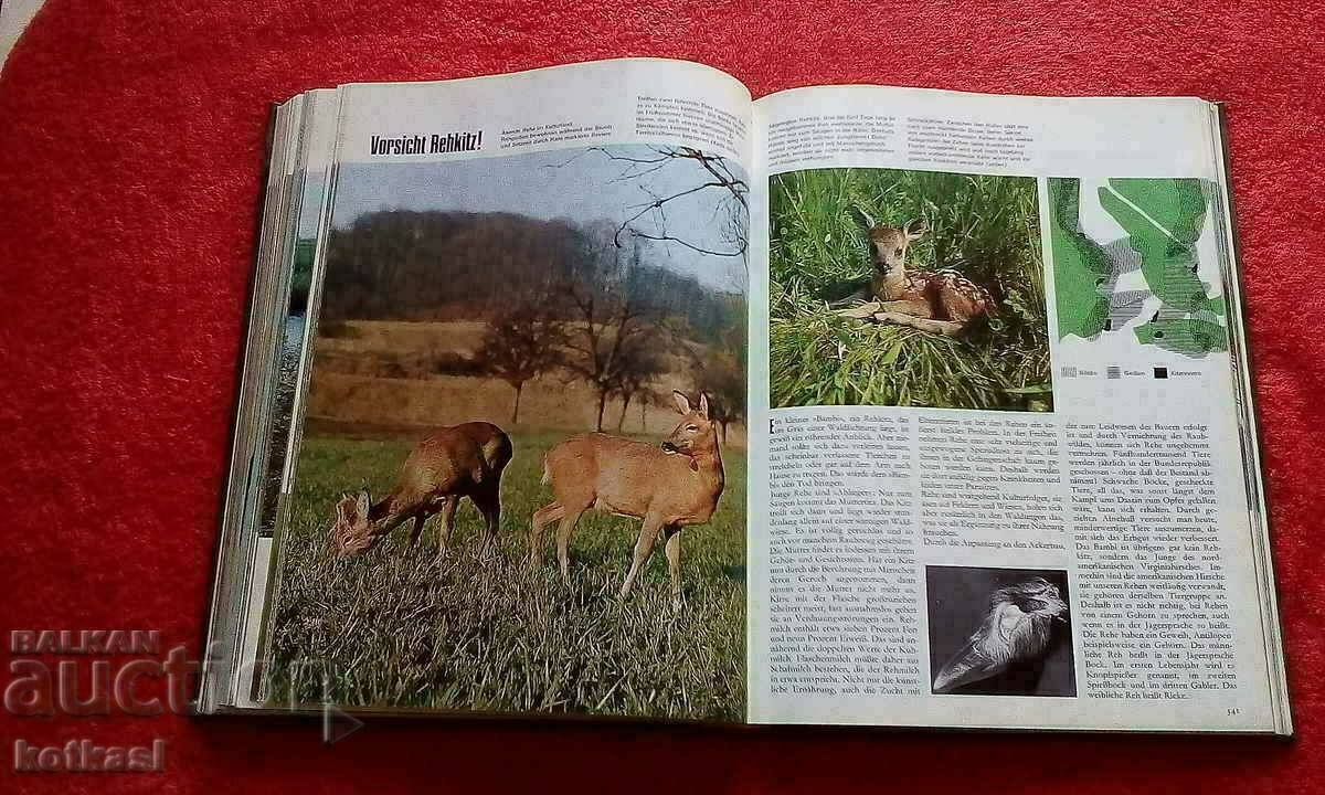 Delivery of The natural kingdom of a thousand wonders Animals Birds Fish Delivery of The natural kingdom of a thousand wonders Animals Birds Fish