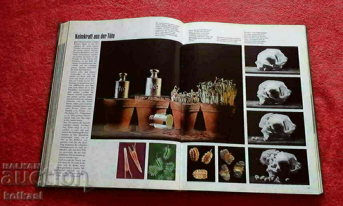 The natural kingdom of a thousand wonders Animals Birds Fish - 6 The natural kingdom of a thousand wonders Animals Birds Fish - 6