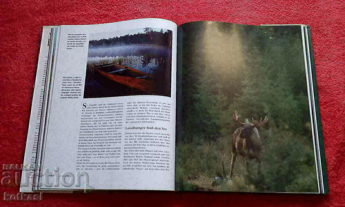 Nature of Europe Animals Fish Birds hardcover excellent - 5 Nature of Europe Animals Fish Birds hardcover excellent - 5