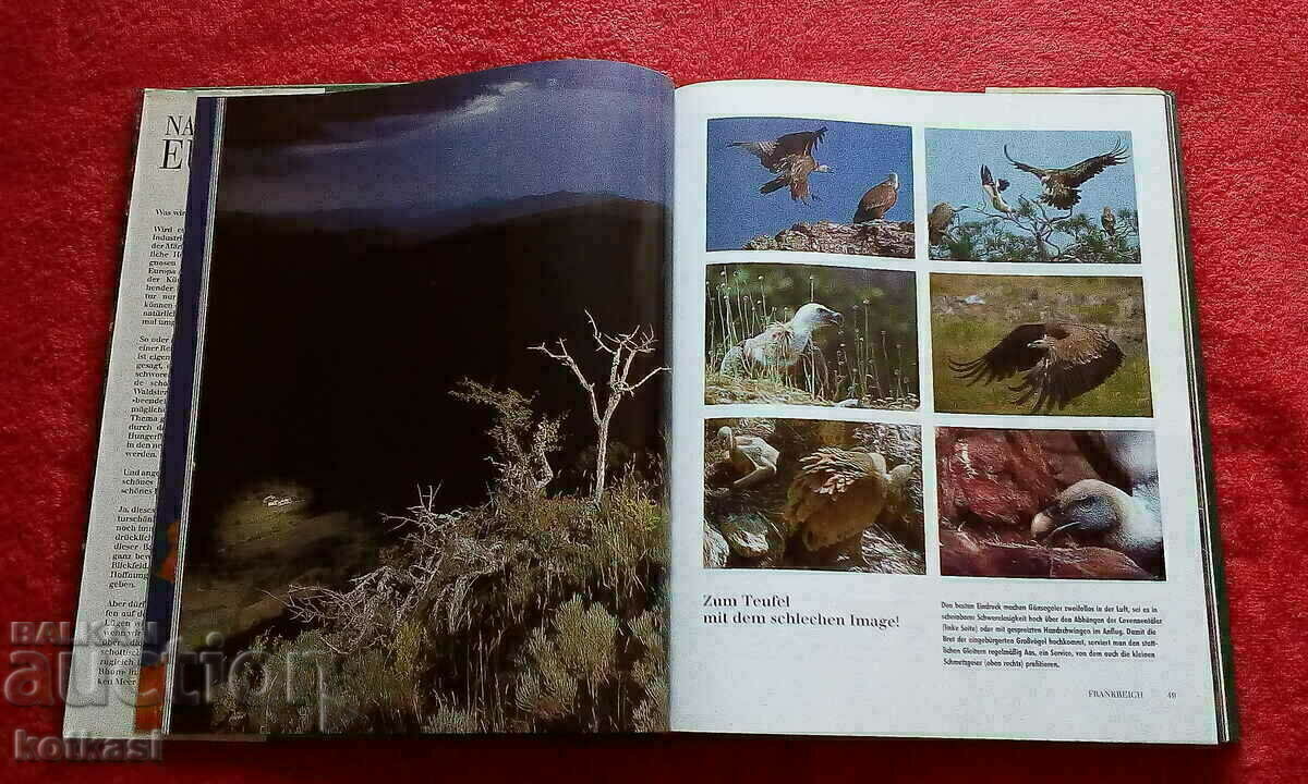 Nature of Europe Animals Fish Birds hardcover excellent - 6 Nature of Europe Animals Fish Birds hardcover excellent - 6