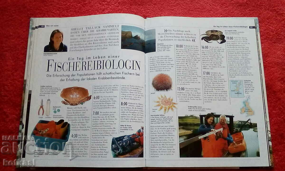 Auction What We Eat Adventure and World Germany Hardcover Auction What We Eat Adventure and World Germany Hardcover