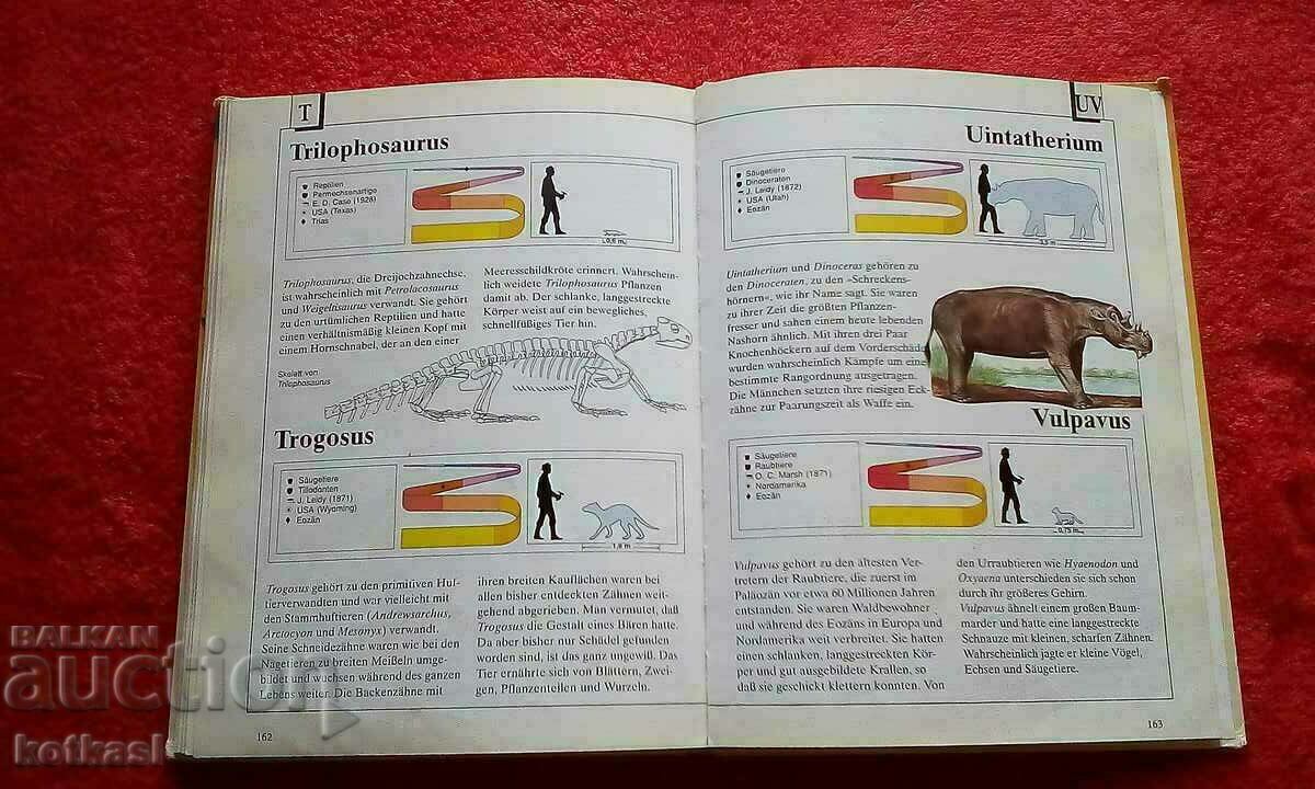 Book Encyclopedia Lexicon Animals from ancient times with price 10.50 BGN | € 5.37 Book Encyclopedia Lexicon Animals from ancient times with price 10.50 BGN | € 5.37