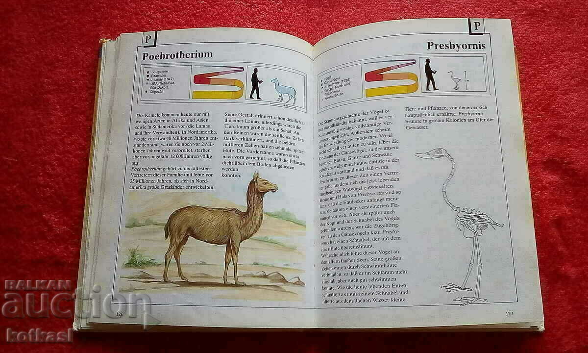 Auction Book Encyclopedia Lexicon Animals from ancient times Auction Book Encyclopedia Lexicon Animals from ancient times