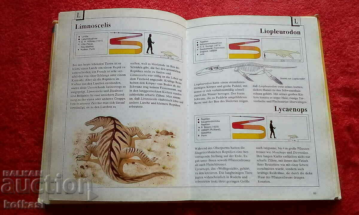 Delivery of Book Encyclopedia Lexicon Animals from ancient times Delivery of Book Encyclopedia Lexicon Animals from ancient times