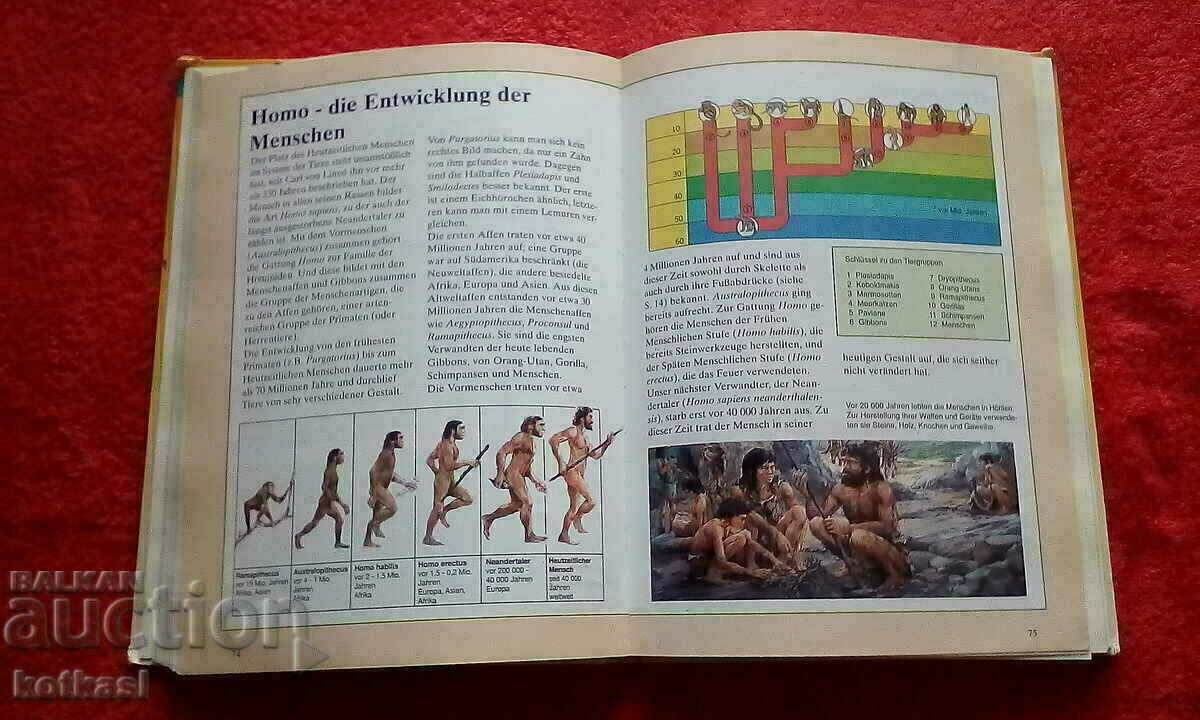 Book Encyclopedia Lexicon Animals from ancient times - 5 Book Encyclopedia Lexicon Animals from ancient times - 5