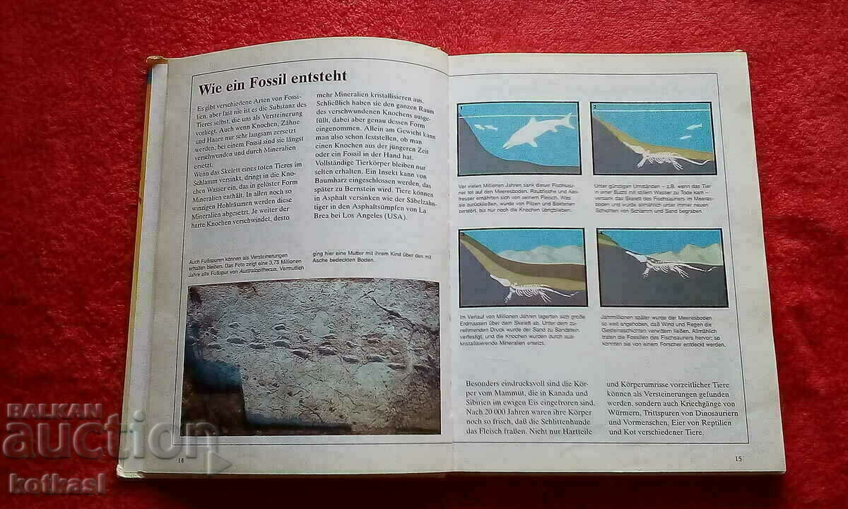 Book Encyclopedia Lexicon Animals from ancient times - 6 Book Encyclopedia Lexicon Animals from ancient times - 6