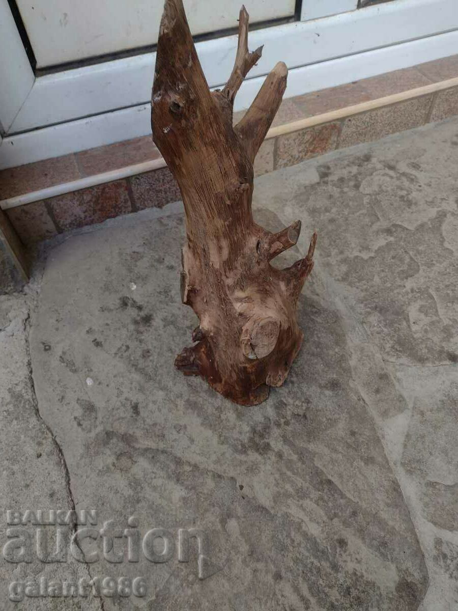 ΠΑΡΑΣΚΕΥΗ - 6