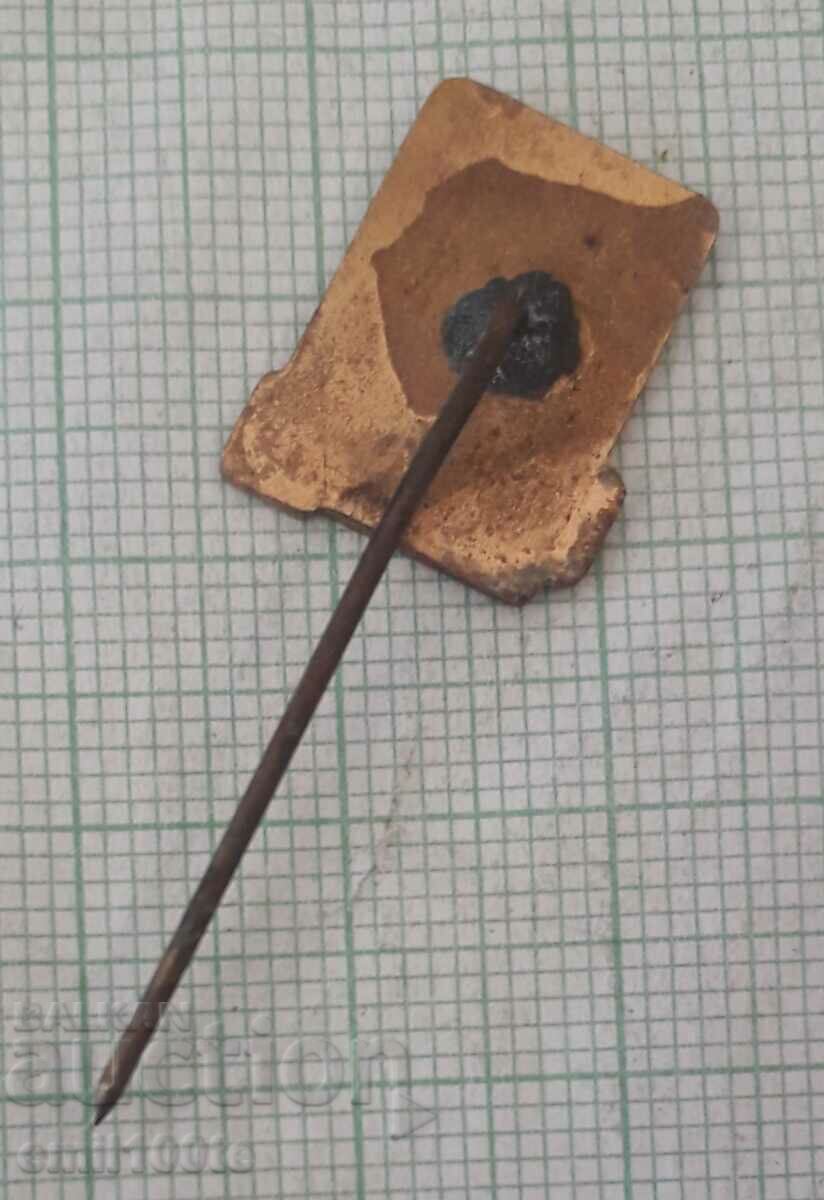 Delivery of Badge - Tourist NRB Delivery of Badge - Tourist NRB