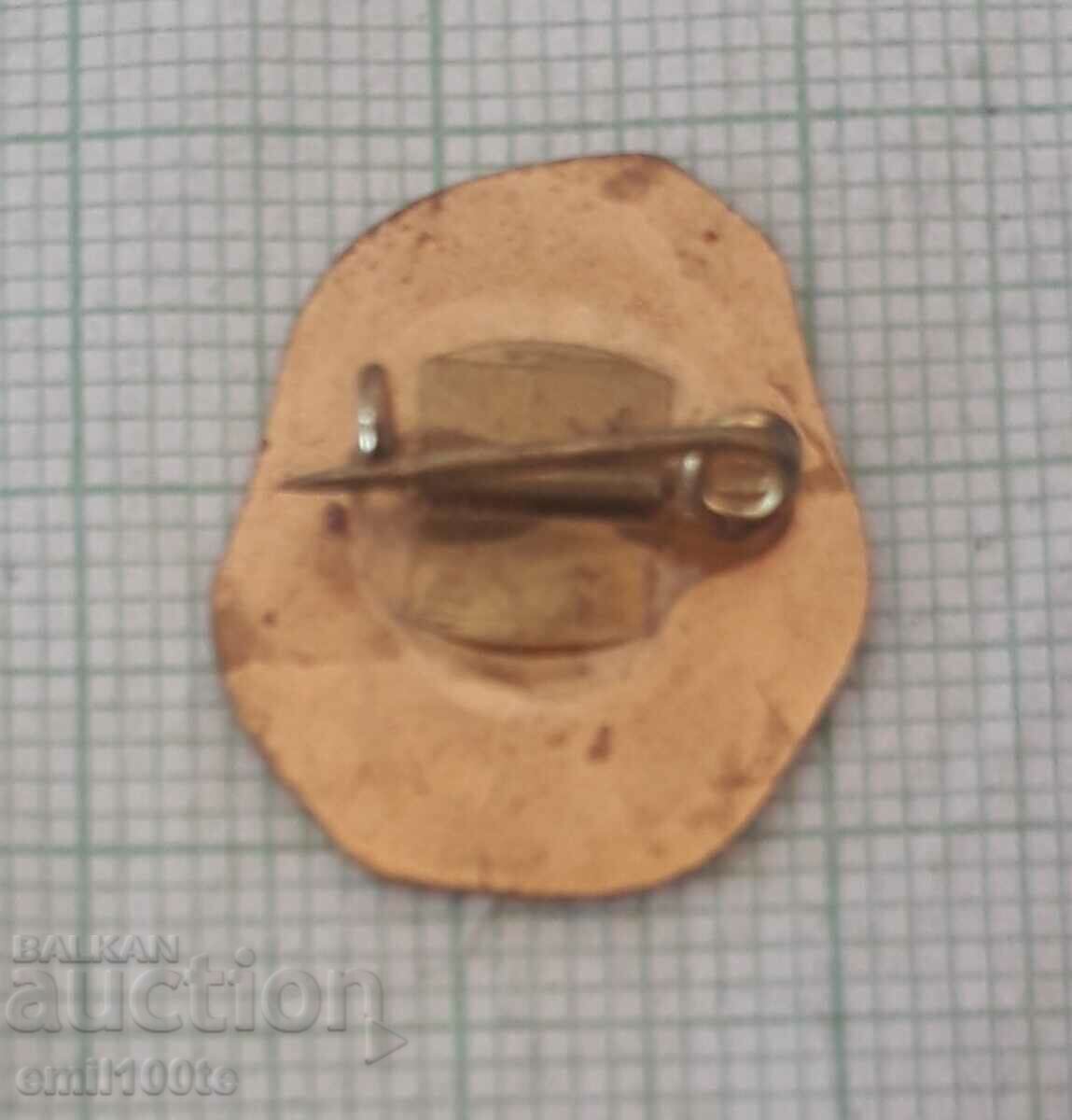 Delivery of Badge - The Mausoleum in Pleven