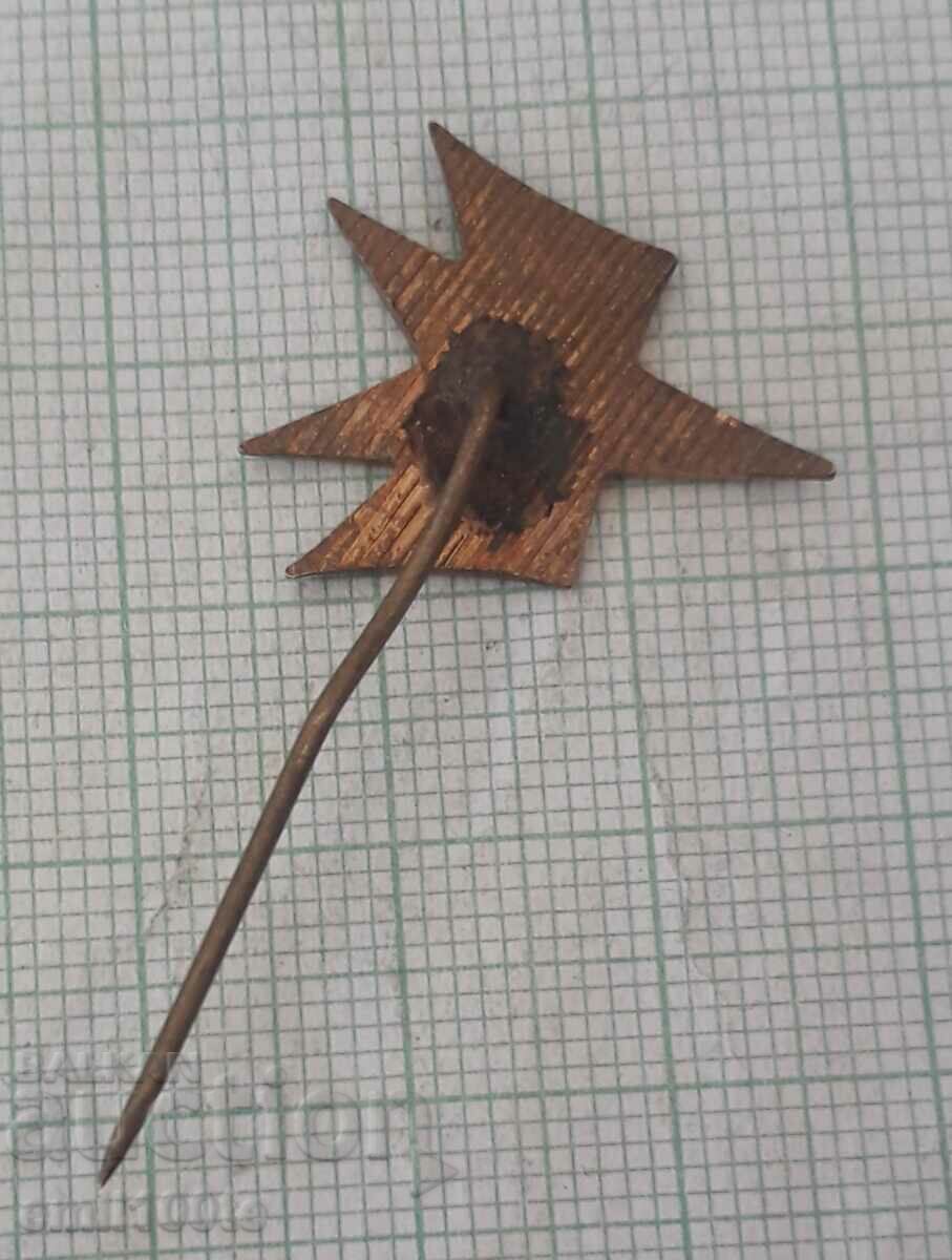 Delivery of Badge - BGA Balkan Delivery of Badge - BGA Balkan