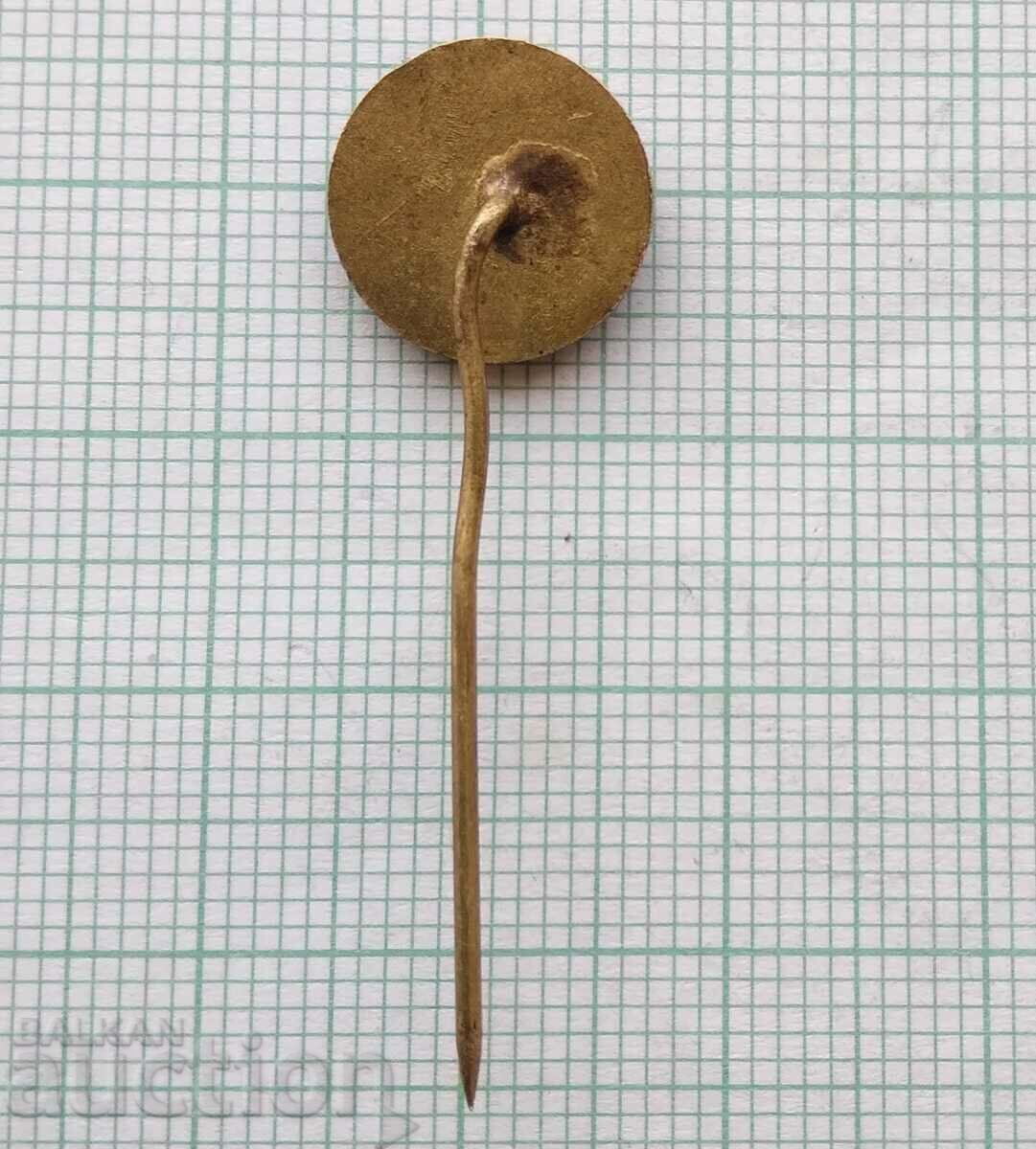 Auction 14572 Badge - TPP Maritsa East Auction 14572 Badge - TPP Maritsa East