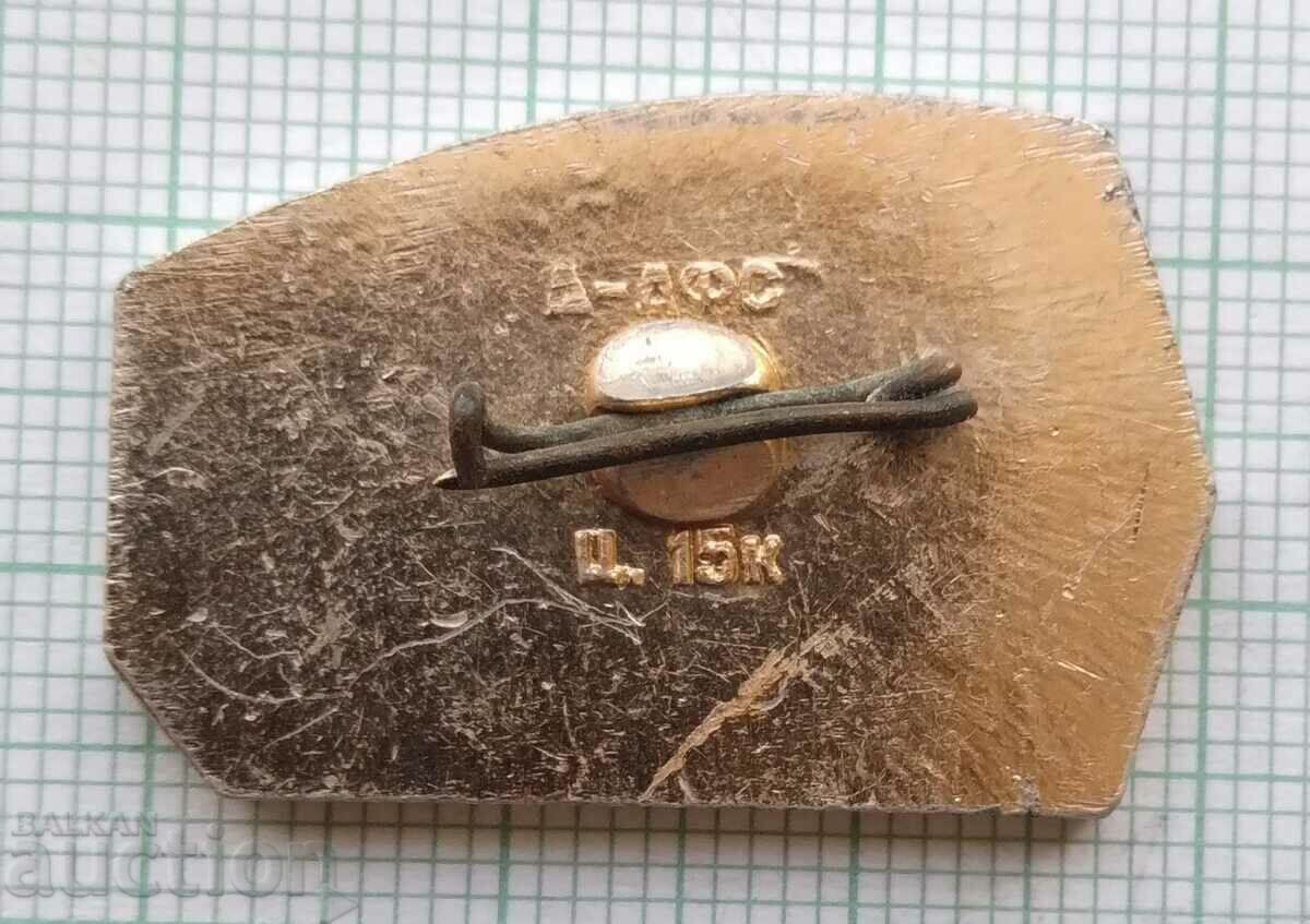 Auction  14574 Badge