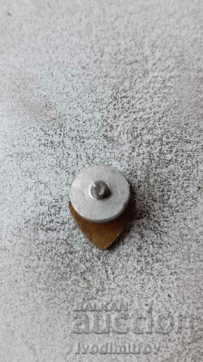 Σήμα ποδοσφαιρικού συλλόγου Brzesko Πολωνίας με τιμή 4.65 BGN | € 2.38 Σήμα ποδοσφαιρικού συλλόγου Brzesko Πολωνίας με τιμή 4.65 BGN | € 2.38