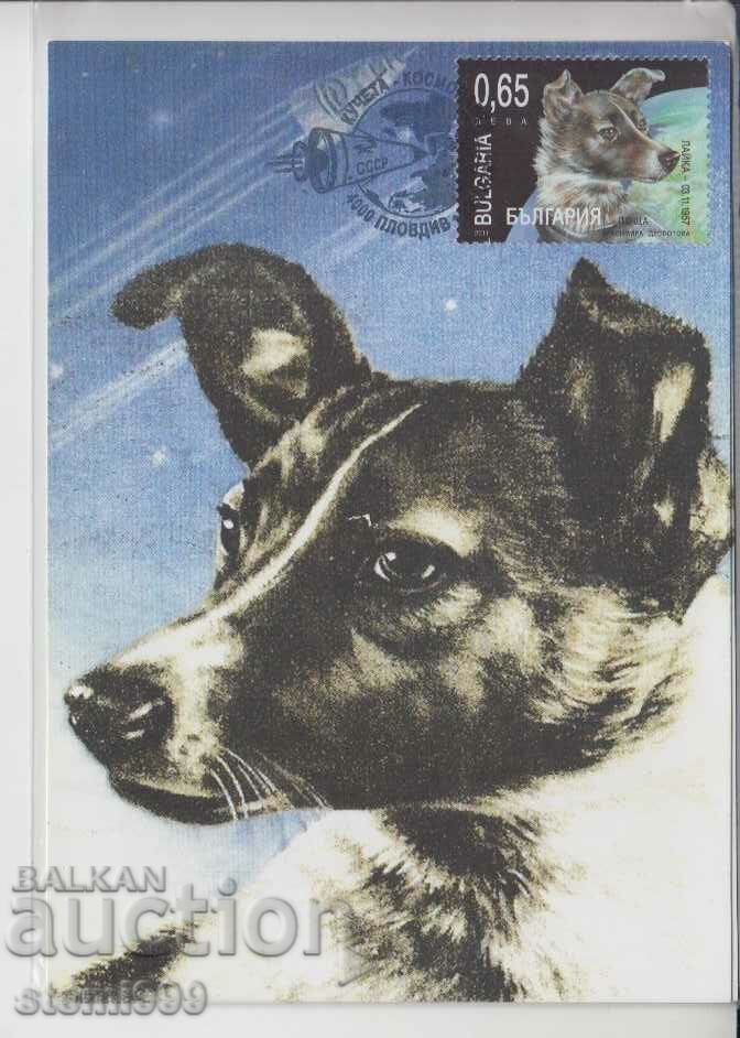Пощенска картичка FDC Космос Кучета