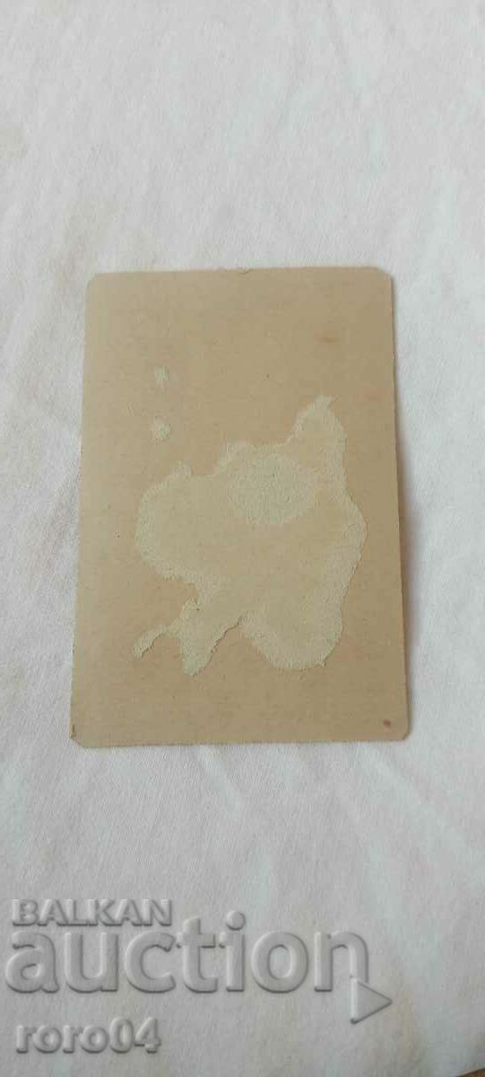 OLD PHOTO - CARDBOARD - 5 OLD PHOTO - CARDBOARD - 5