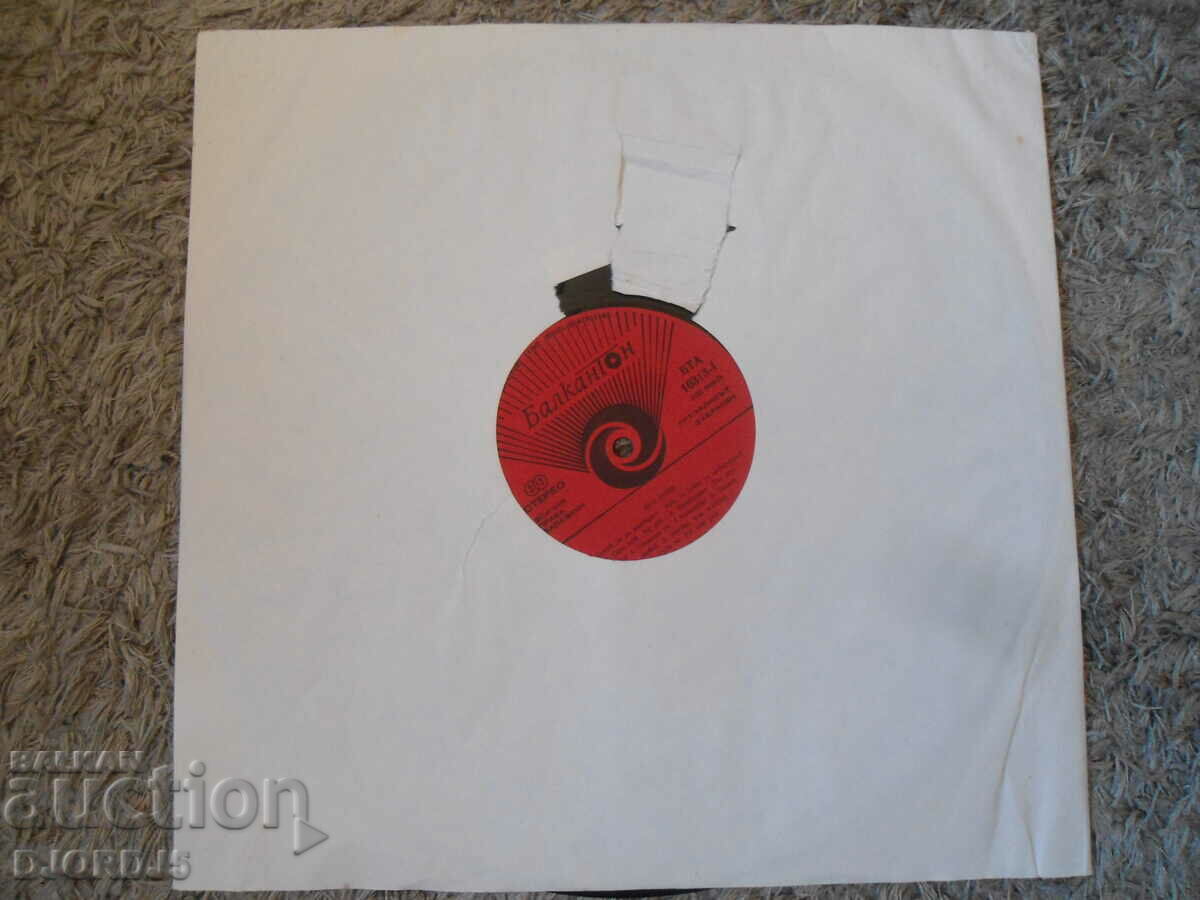 Auction DUO NOVE, VTA 10313, gramophone record, large Auction DUO NOVE, VTA 10313, gramophone record, large