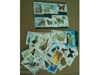 Postage stamps "Animals", Fauna USSR 1980s - 50 pieces, new