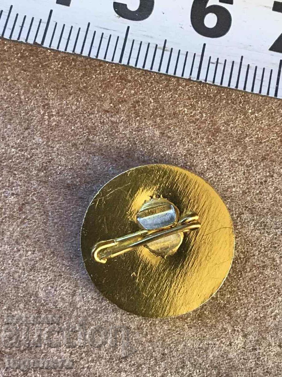 BADGE with price 3.00 BGN | € 1.53 BADGE with price 3.00 BGN | € 1.53