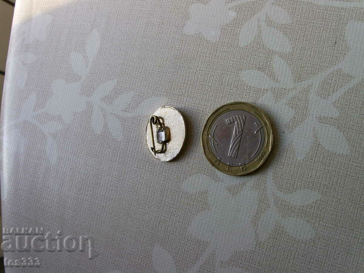 Auction  Ivan Vazov badge