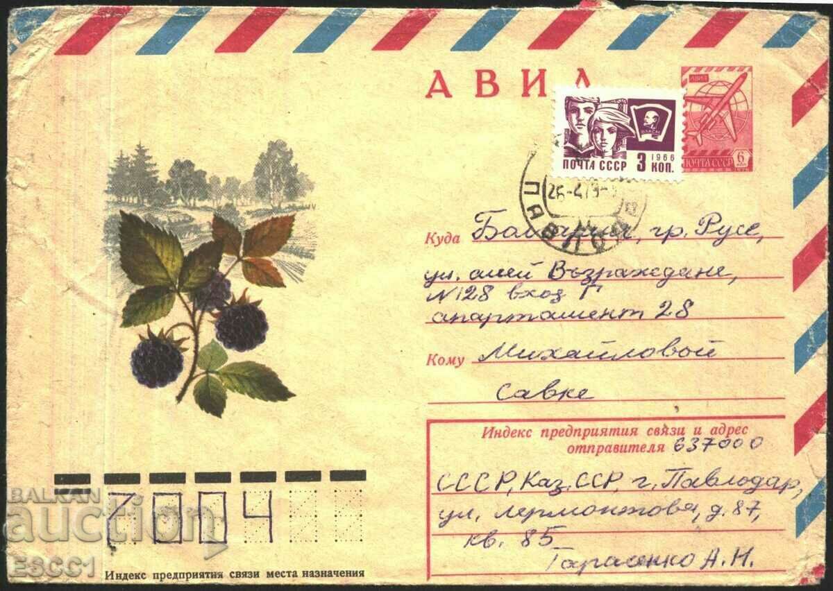 Traveled envelope Flora Blackberry Forest Trees 1977 from the USSR