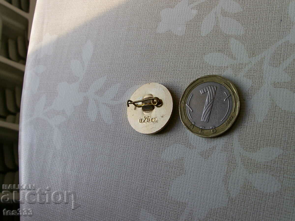 Insigna Mănăstirii Rila - 5 Insigna Mănăstirii Rila - 5