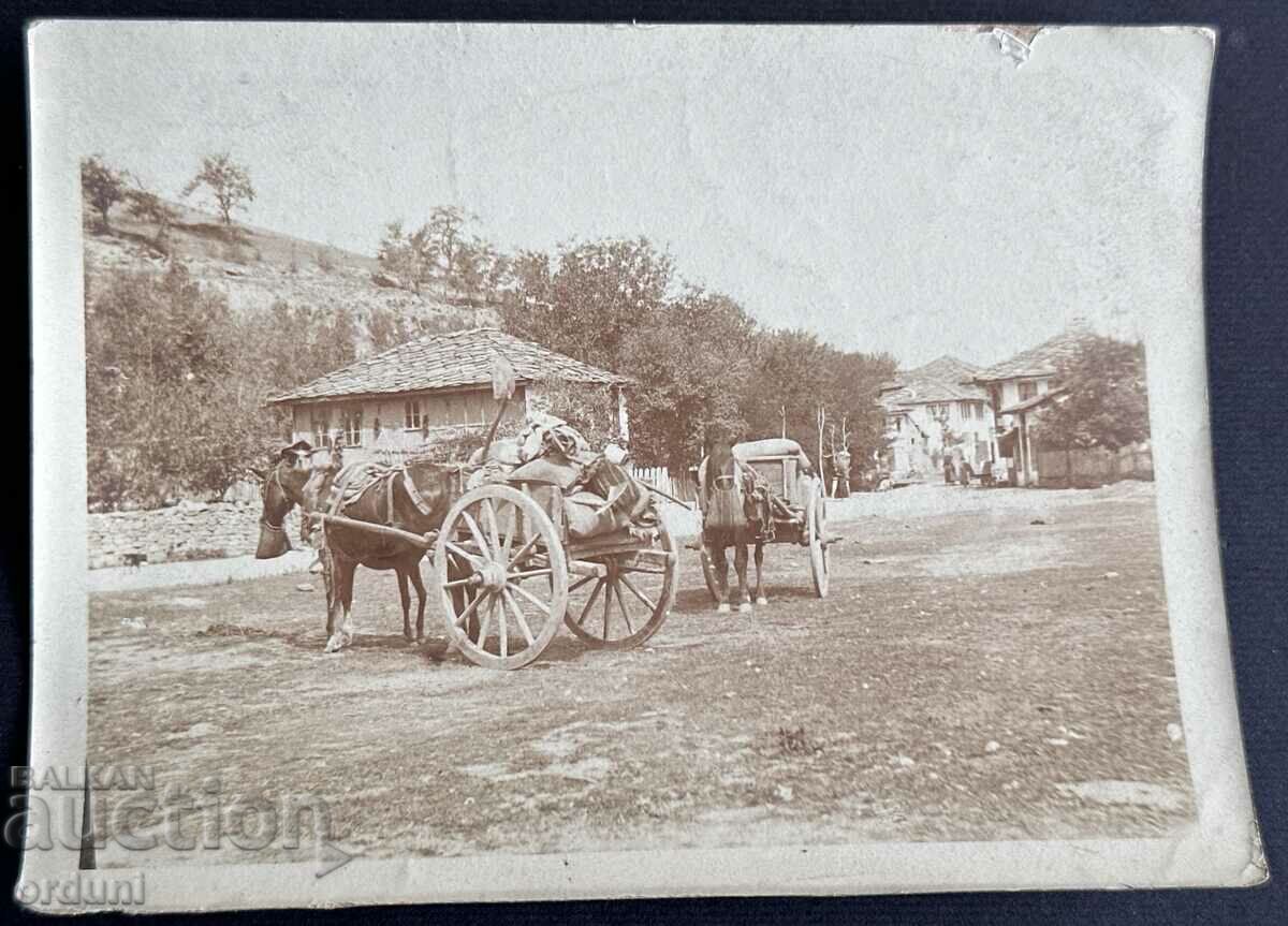 4080 Βασίλειο της Βουλγαρίας παλιό άλογο κάρα χωριού γύρω στο 1912.