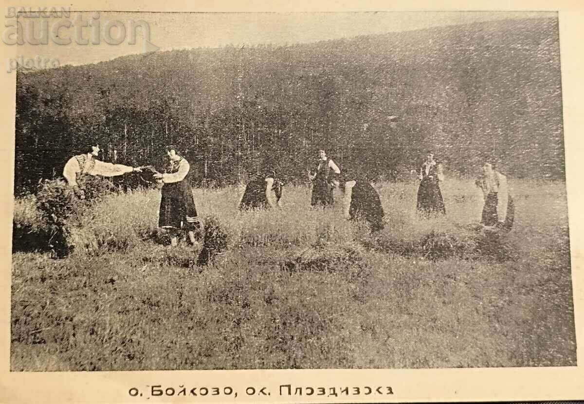 Regatul Bulgariei 1936 Hartă veche Un grup de femei colectează...