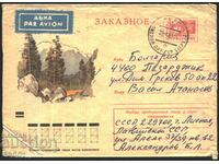 Traveled envelope Trees Mountain Forest 1972 from the USSR