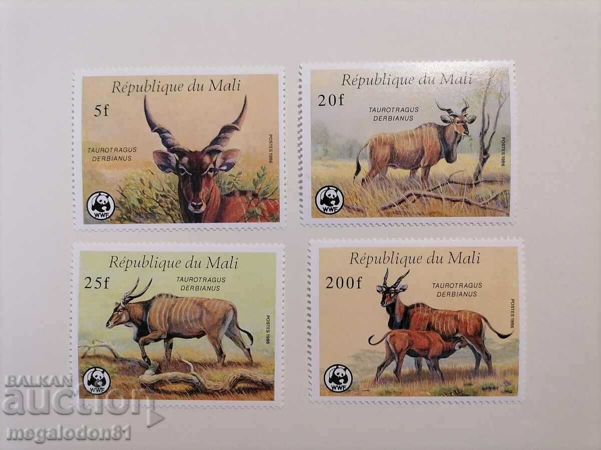 Mali - WWF fauna, kudu antelope