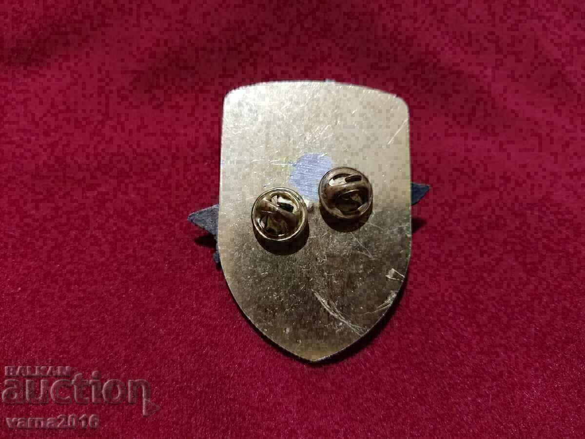 INSIGNIA CEI DIVIZIUNEI A 2-A AERIENE SI AERIENE A BNA - 5