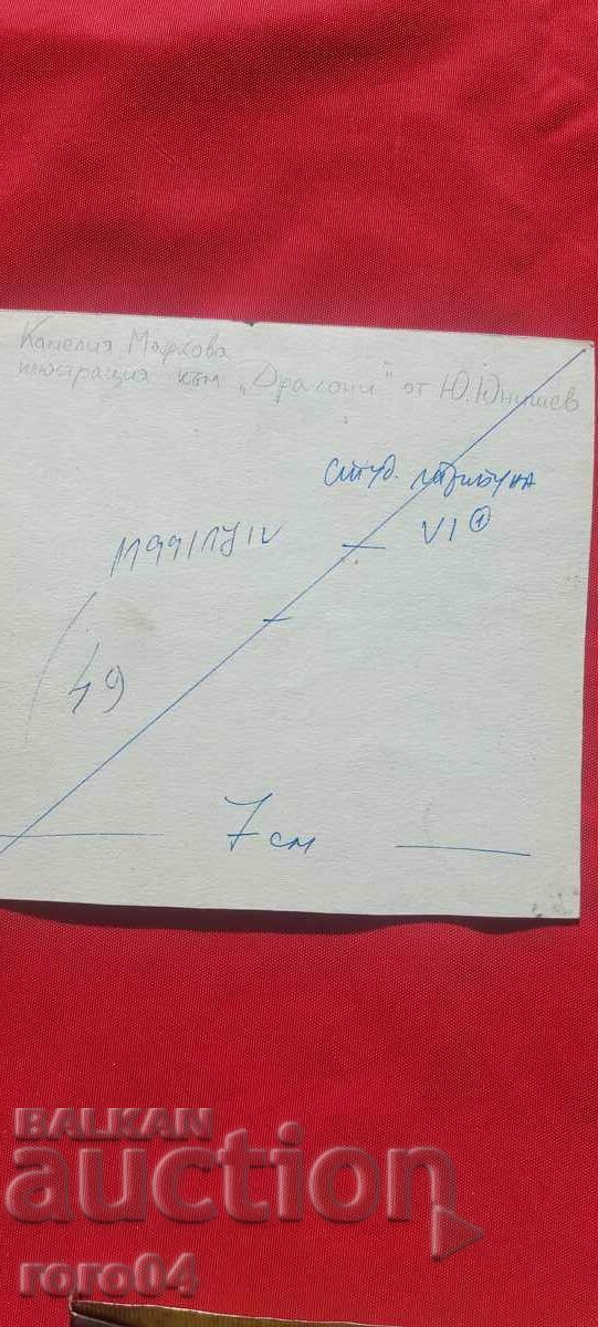 CAMELIA MARKOVA - ILLUSTRATION - SHOWER - 6 CAMELIA MARKOVA - ILLUSTRATION - SHOWER - 6