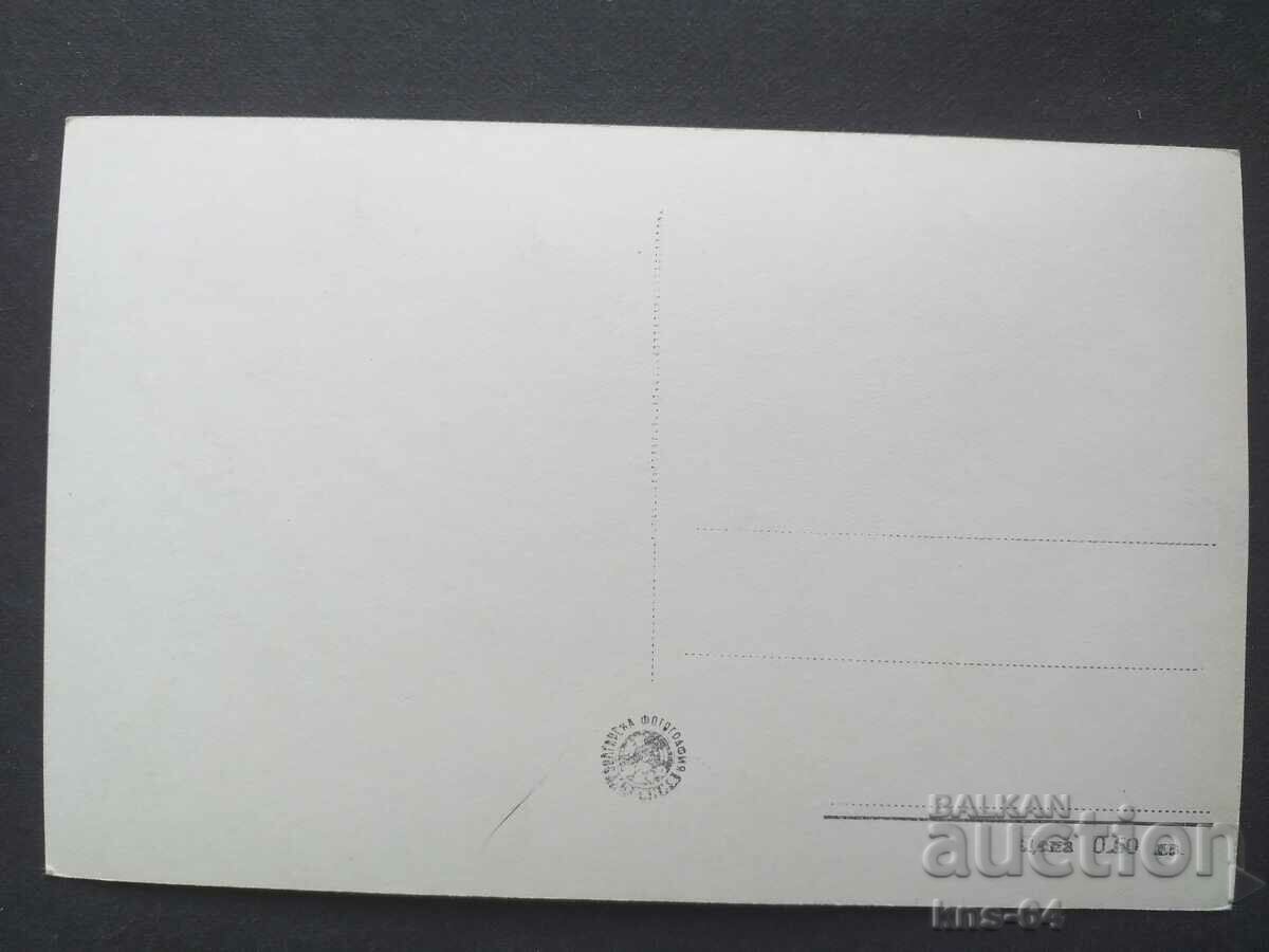 Hives with price 1.00 BGN | € 0.51 Hives with price 1.00 BGN | € 0.51