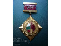 Homeland Front medal - for active activity - gold badge