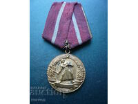 Semnul ordinului medalie Pentru Meritul Militar - primul număr