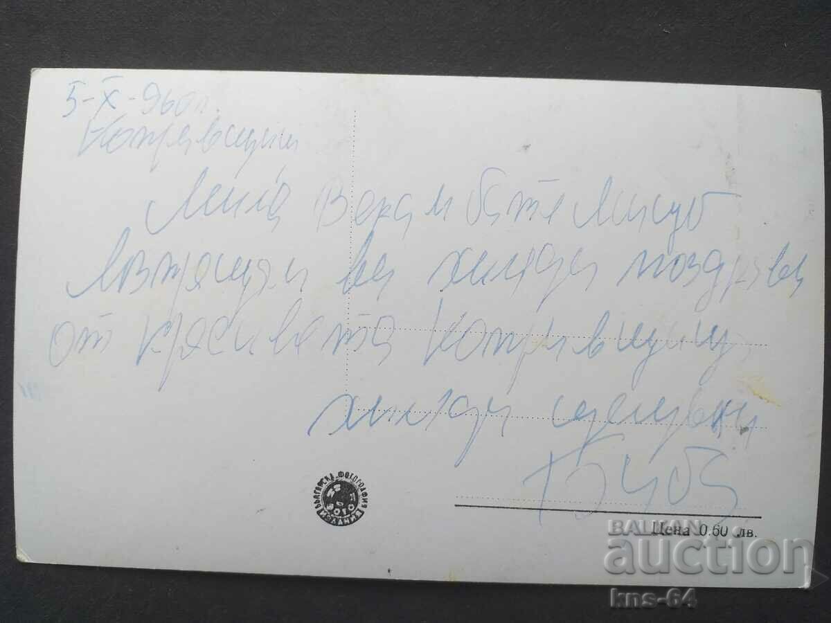 Hives with price 1.00 BGN | € 0.51 Hives with price 1.00 BGN | € 0.51