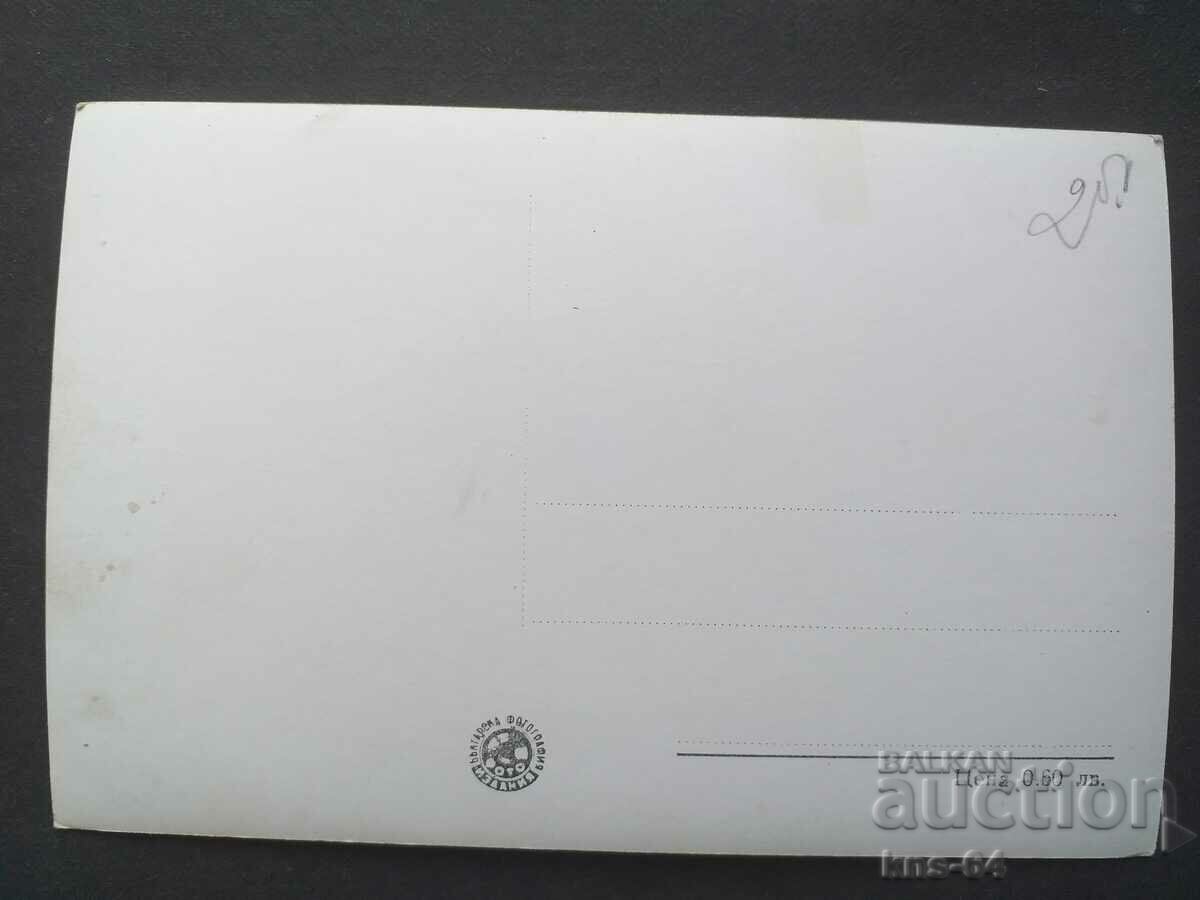 Hives with price 1.00 BGN | € 0.51 Hives with price 1.00 BGN | € 0.51