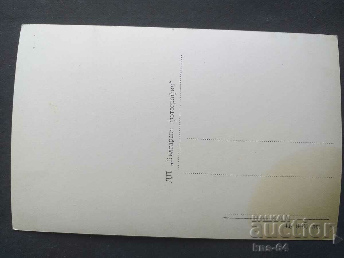 CONVENIENT BATHROOMS with price 1.00 BGN | € 0.51 CONVENIENT BATHROOMS with price 1.00 BGN | € 0.51