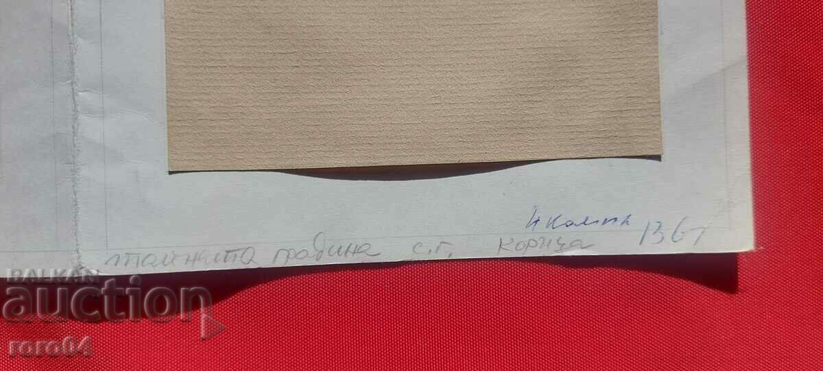 Auction  RALITSA NIKOLOVA - THE SECRET GARDEN