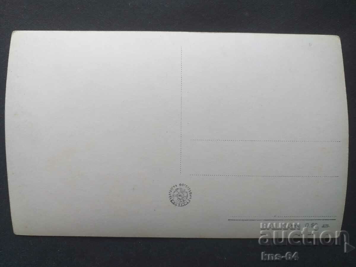 Hives with price 1.00 BGN | € 0.51 Hives with price 1.00 BGN | € 0.51