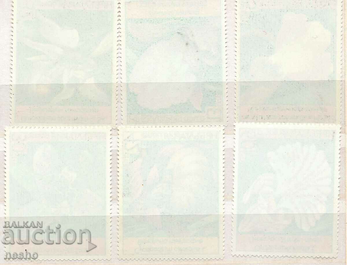 Flora with price 2.00 BGN | € 1.02 Flora with price 2.00 BGN | € 1.02