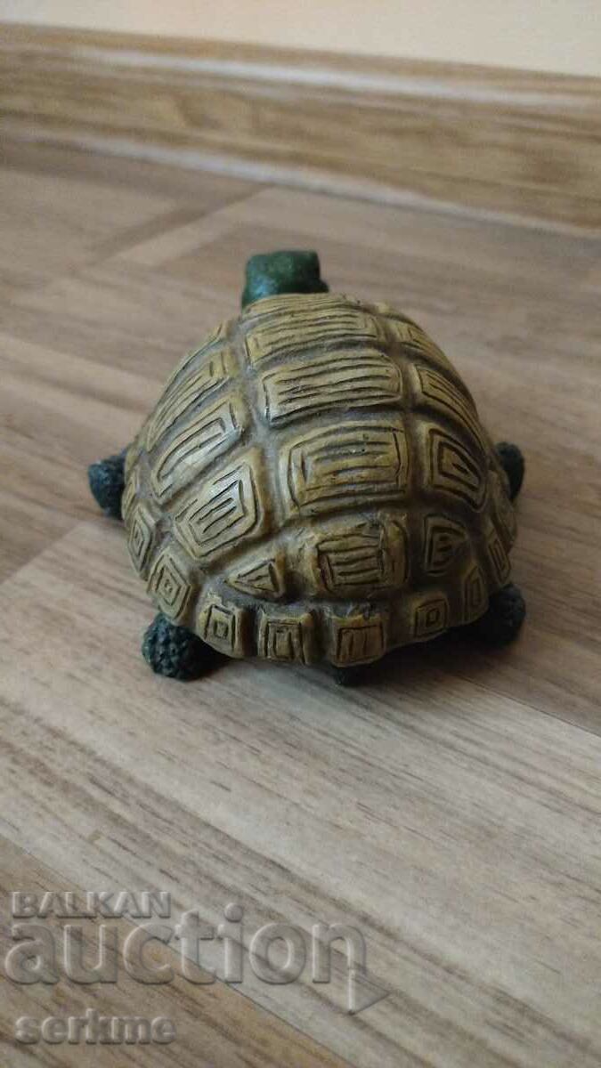 Auction Turtle Auction Turtle