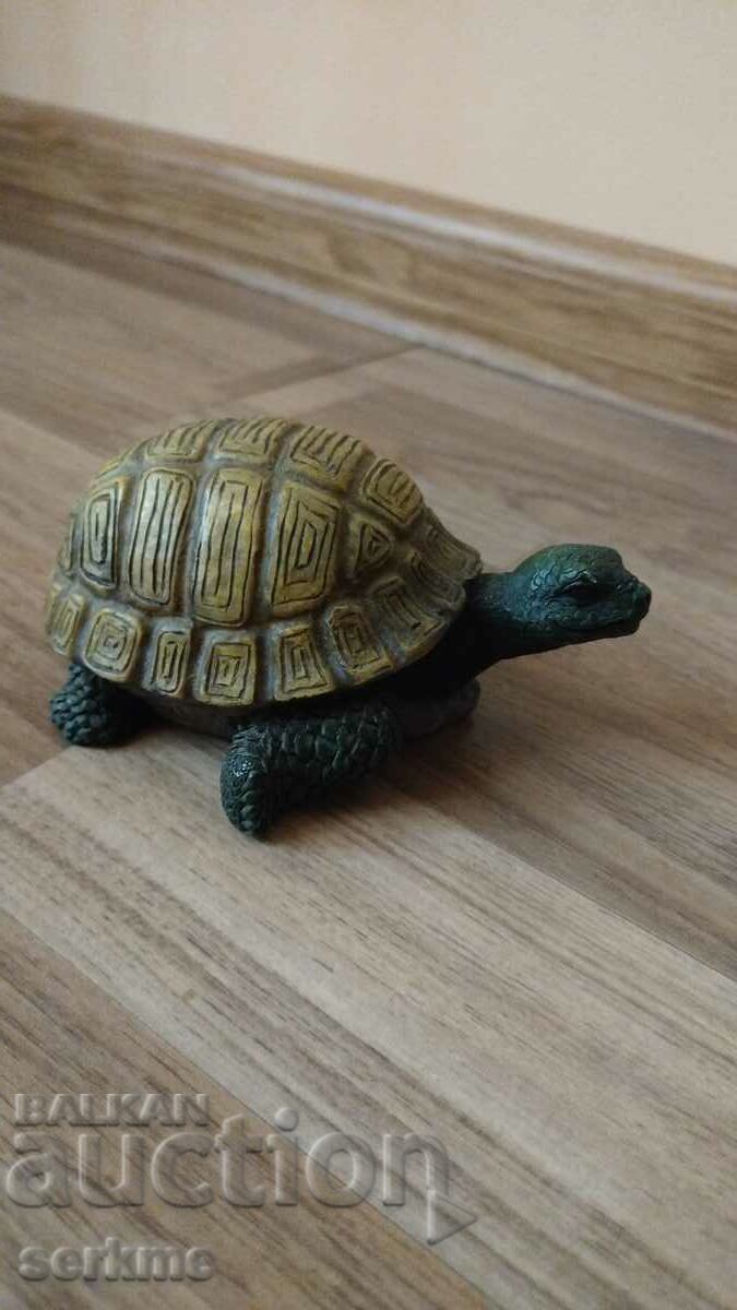 Delivery of Turtle Delivery of Turtle