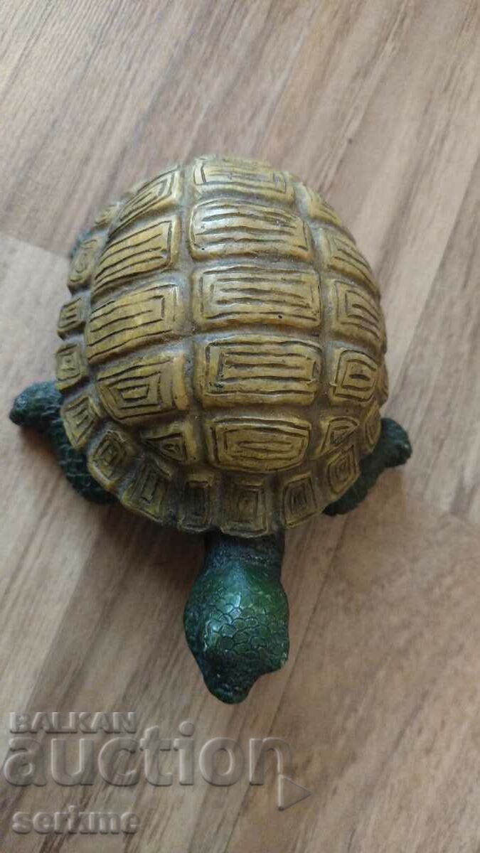 Turtle - 5 Turtle - 5