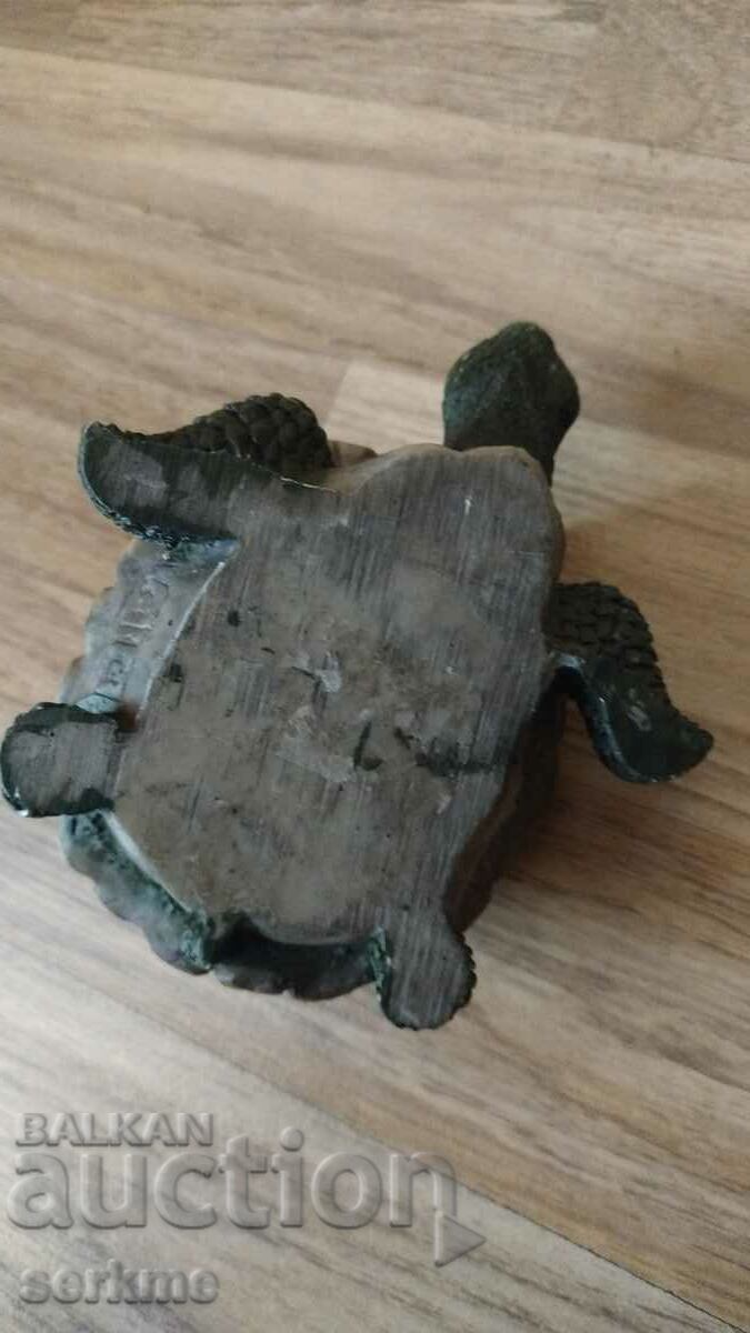 Turtle - 6 Turtle - 6