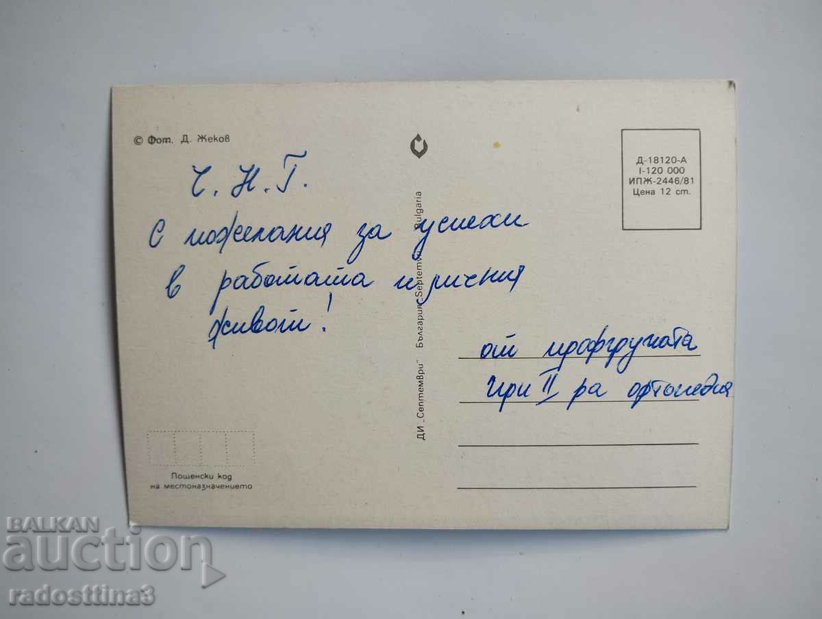 Greeting card from the soca with price 0.99 BGN | € 0.51 Greeting card from the soca with price 0.99 BGN | € 0.51